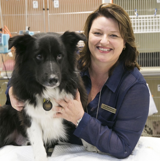 Veterinary Nurse Manager