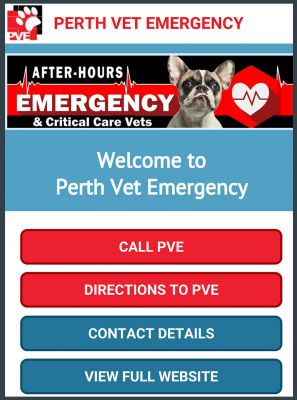 After hours 2024 vet emergency