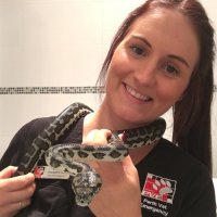 Perth Vet Emergency senior veterinary nurse Katie Speer holding a snake