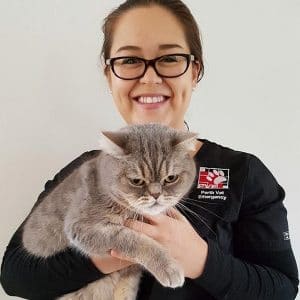 Perth Vet Emergency veterinarian Dr Penny Seet with a grey cat