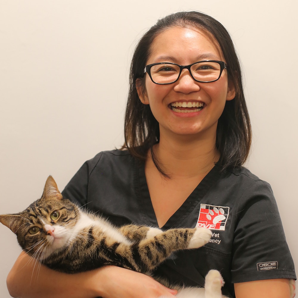 Dr Liana Tay with cat at Perth Vet Emergency