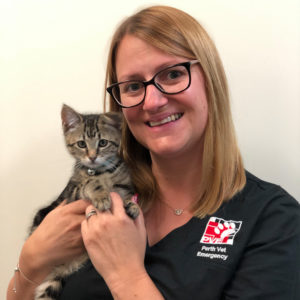 Perth Vet Emergency Kirsty Hoey with cat
