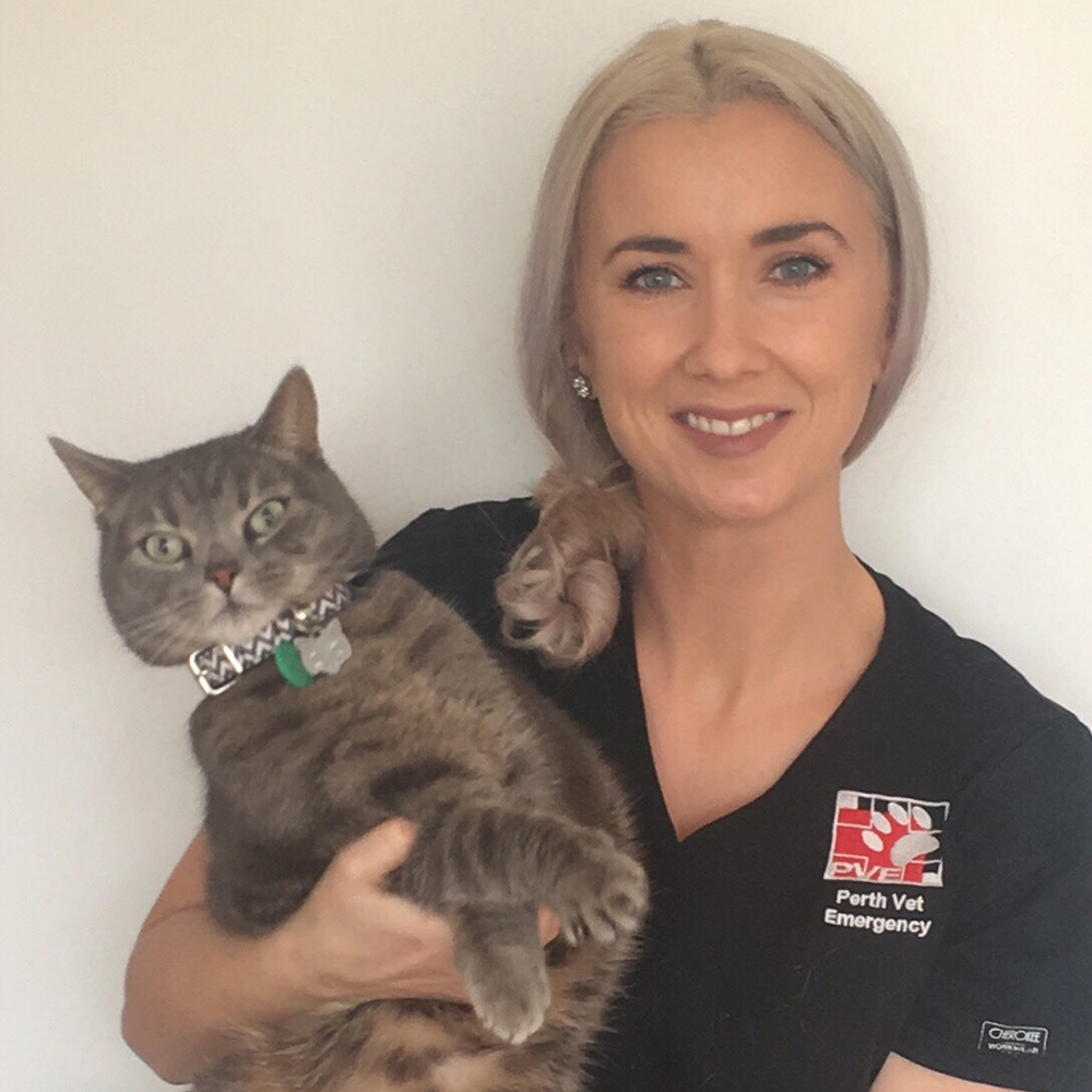 Perth Vet Emergency Client Care Manager Marie Browne with a cat