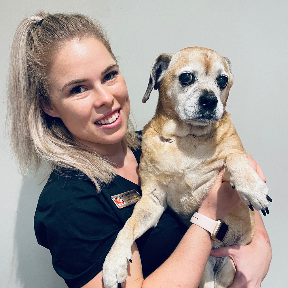 Perth Vet Emergency veterinarian Dr Stephanie Morgan with a dog