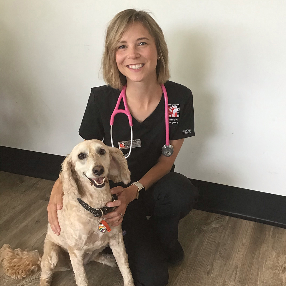 Perth Vet Emergency Clinical Manager Dr Stephanie Pattison with a dog