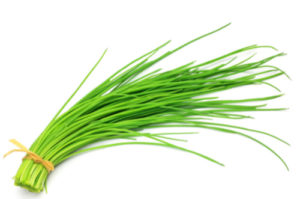 Bunch of chives, which are plants that are toxic to dogs