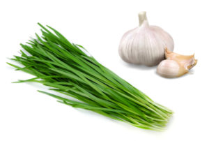 Chives and garlic are foods toxic to dogs and cats
