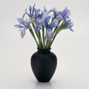 Bunch of irises in a black vase