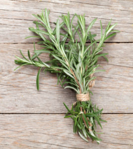 Bunch of rosemary on wooden planks