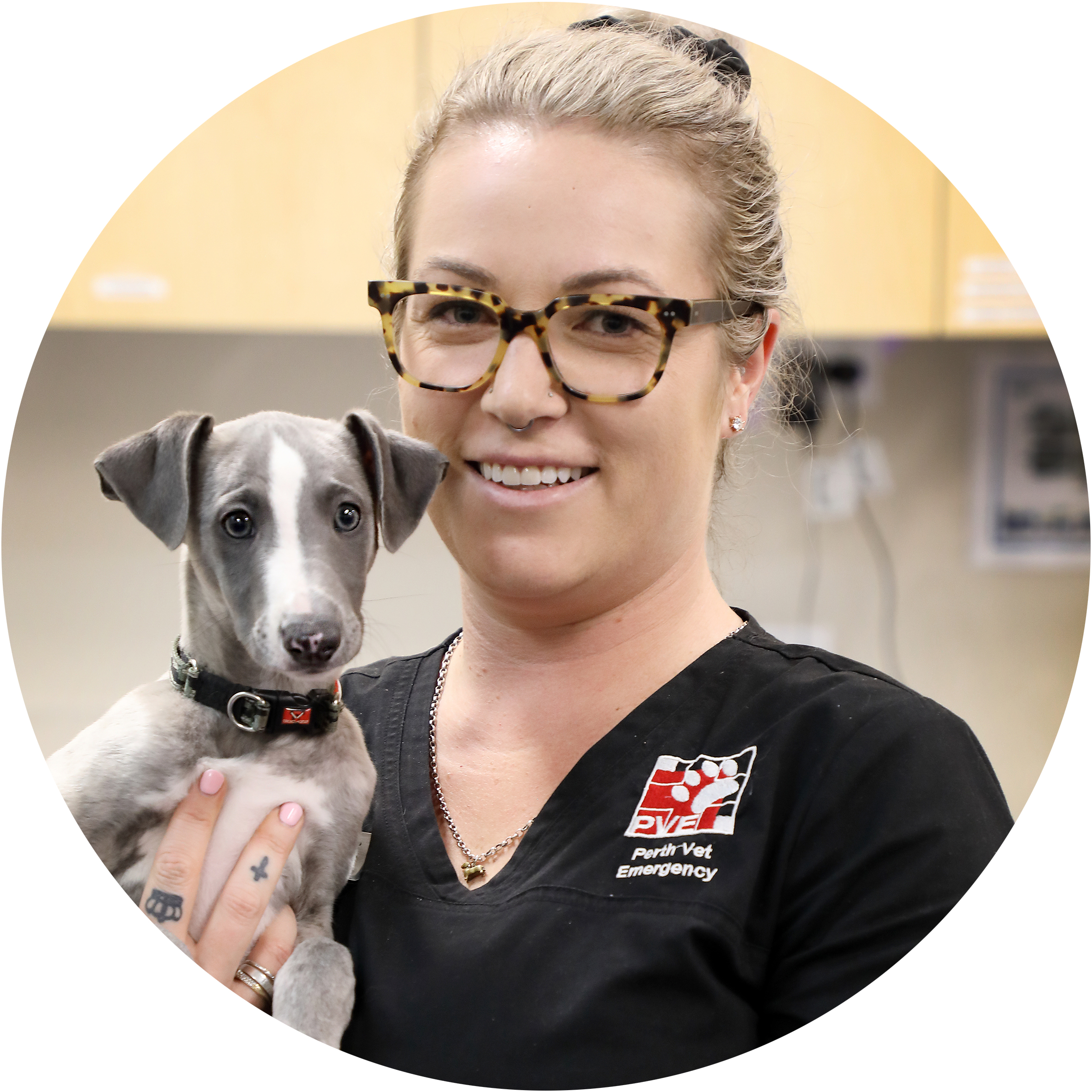 Perth Vet Emergency team member with dog