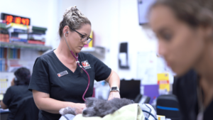 Snail bait toxicity required urgent veterinary care